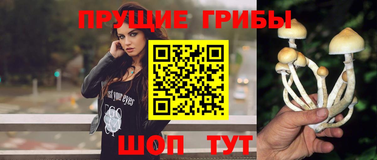 Галлюциногенные грибы Magic Shrooms  Вход с VPN  Курчатов 